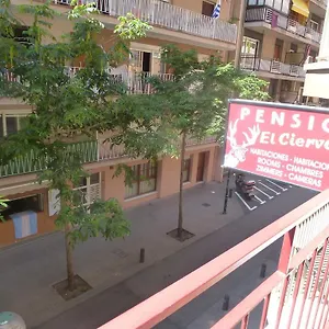 El Ciervo Guest house Lloret de Mar